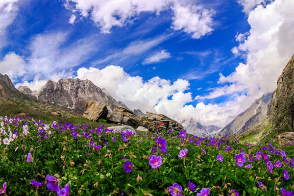 Uttarakhand Tourist Places 14 valley-of-flowers-image