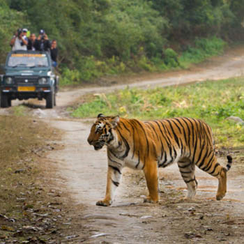 corbett uttarakhand