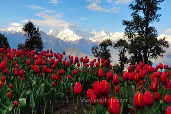Munsiyari-uttarakhand14