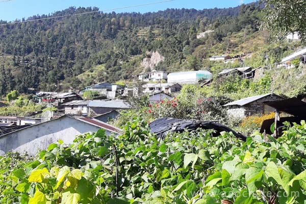 dayara-bugyal-trek-uttarakhand6