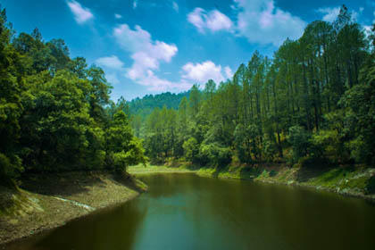 ranikhet uttarakhand