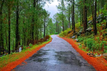 ranikhet uttarakhand